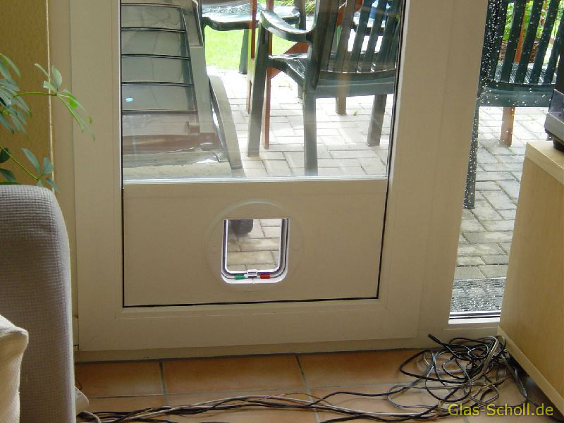 Katzen- und Hundeklappen in Glasscheiben von Glas Scholl